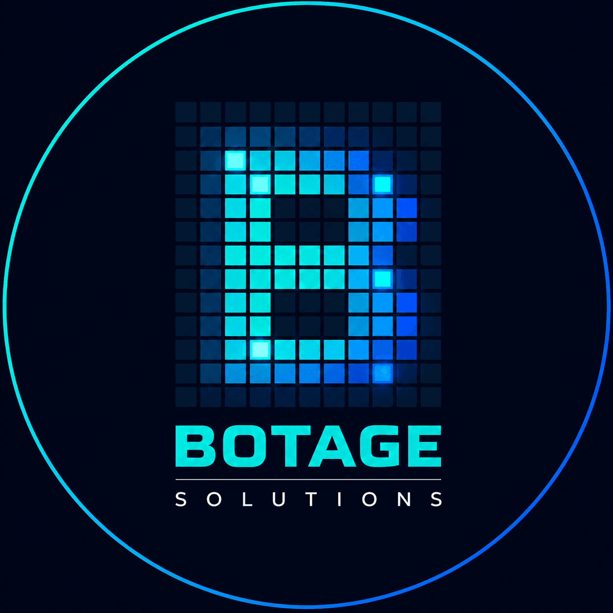 Botage Solutions Logo